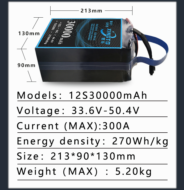 270wh 12s details 06
