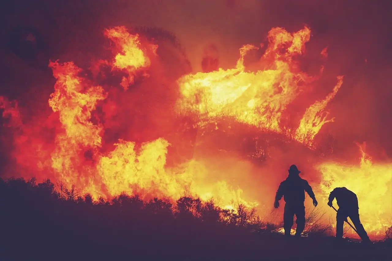 bush fire, fire fighting, operation handbook, industrial drone solution